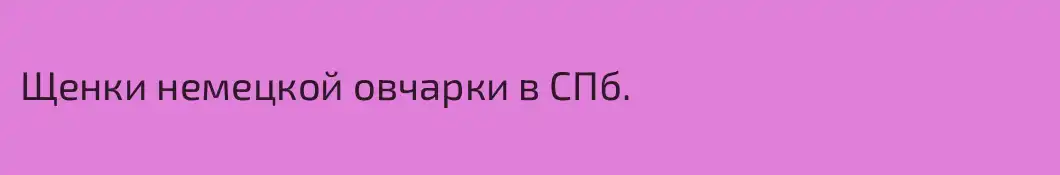 Щенки немецкой овчарки в СПб. 